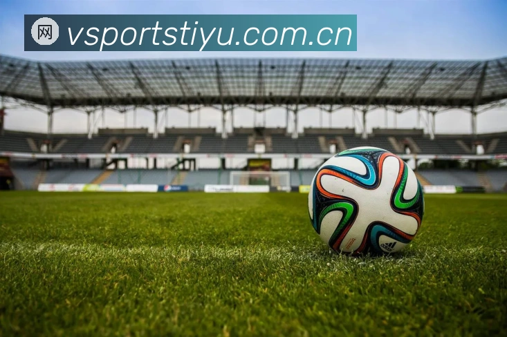 关于Vsports体育app